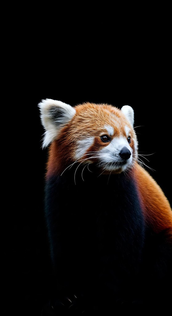 Wildlife nature